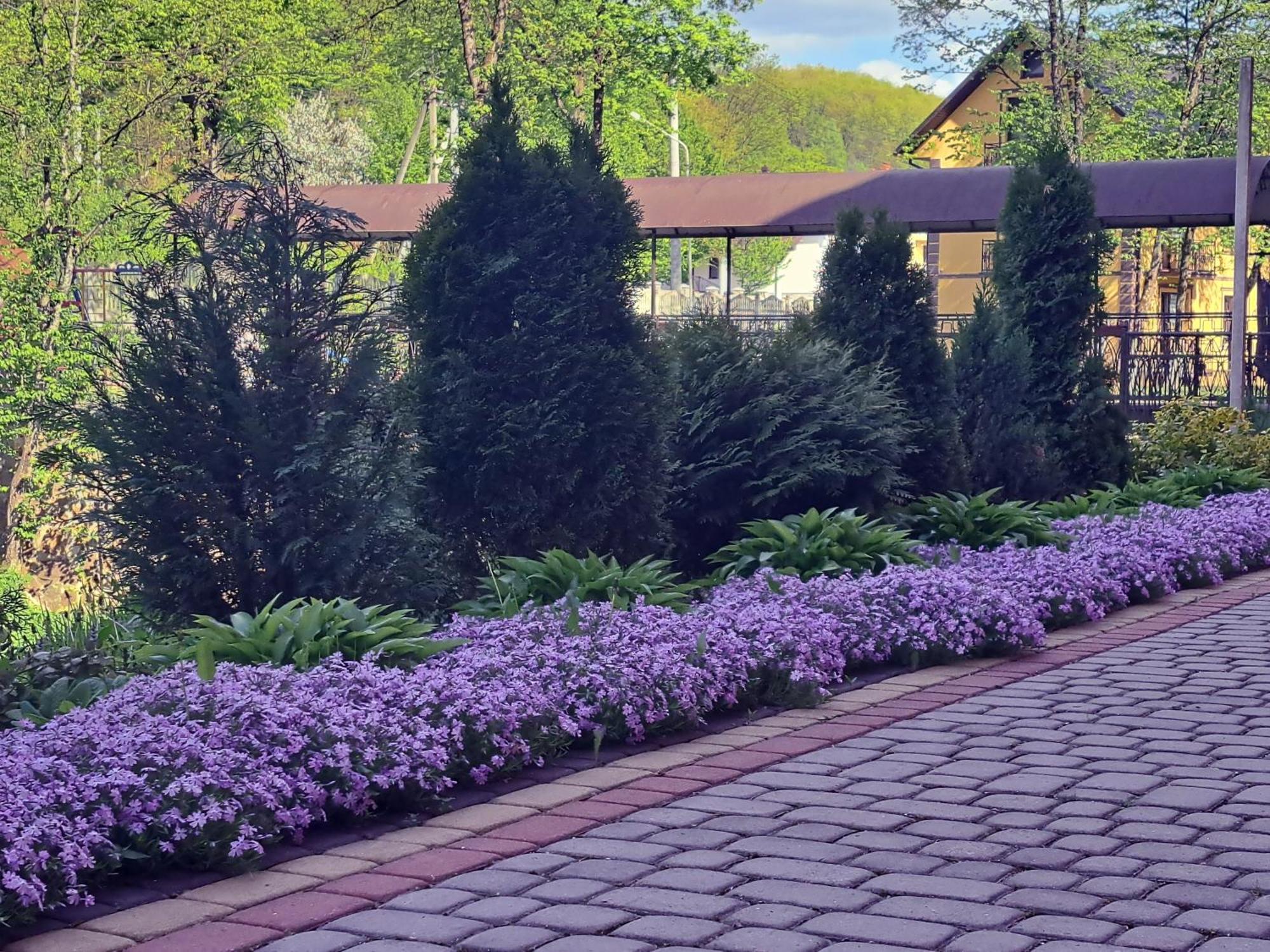 Сонячна Соната Hotel Polyana  Ngoại thất bức ảnh